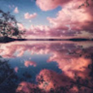 Meet your Posher, Trevor